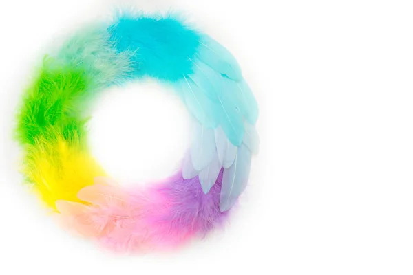 Vícebarevné Peří Uspořádáno Kruhu Měňavé Barvy — Stock fotografie