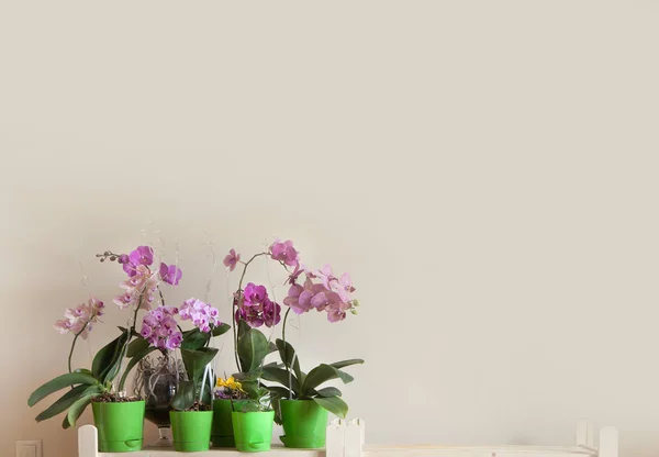 Blossoming Orchids Phalaenopsis Stand Row Wooden Rack Place Your Text — Stock Photo, Image