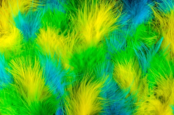 Poster Carnival Bright Festive Feathers Color Flag Brazil Royalty Free Stock Photos