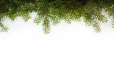 İzole taze çam dalları ile düzenlenmiş geniş Noel kenarlık 