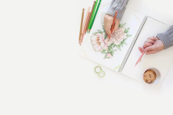 Imagem / esboço de um buquê de flores sobre um fundo branco . — Fotografia de Stock