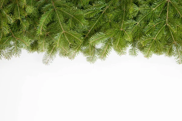 フレッシュのモミ枝分離配置クリスマスの境界線の幅 — ストック写真