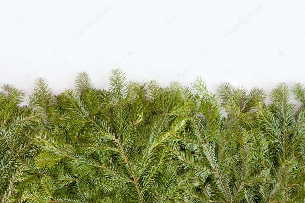 Wide Christmas border arranged with fresh fir branches isolated 