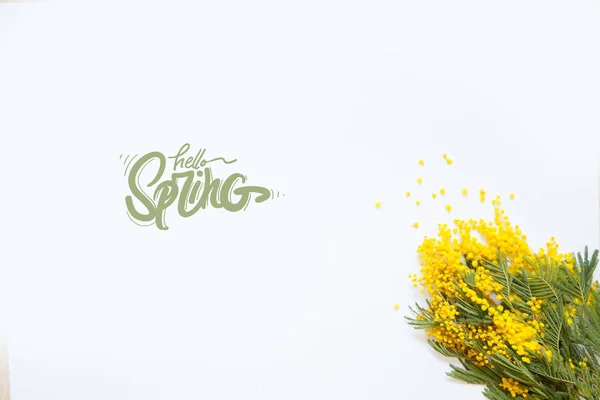 Spring background. Mimosa flower. Card for Mothers day, 8 March, — Stock Photo, Image