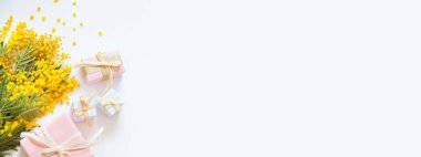 Mimoza çiçek ve şenlikli hediye kutuları. Anneler günü ve Mart 8t