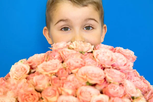 Pojken innehar en bukett rosa rosor. Blå bakgrund — Stockfoto