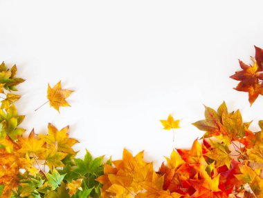 Kırmızı, sarı, turuncu akçaağaç yapraklı sonbahar arkaplanı