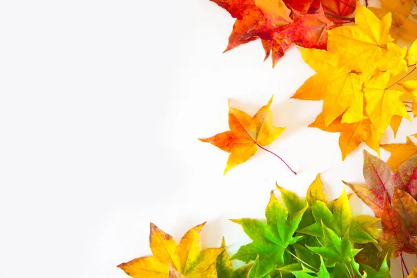Fond d'automne avec des feuilles d'érable rouges, jaunes, orange — Photo