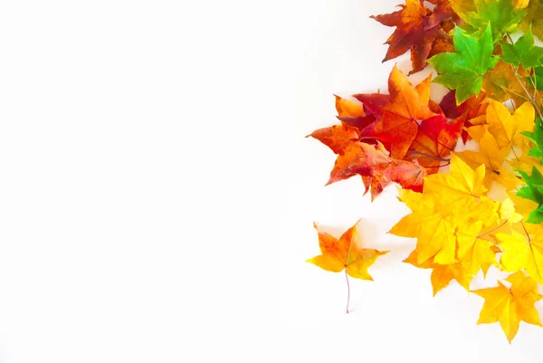 Fond d'automne avec des feuilles d'érable rouges, jaunes, orange — Photo