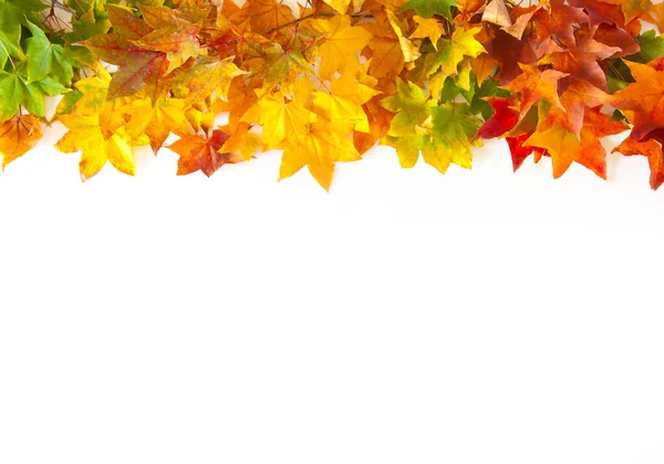 Autumn background with red, yellow, orange maple leaves — Stock Photo, Image