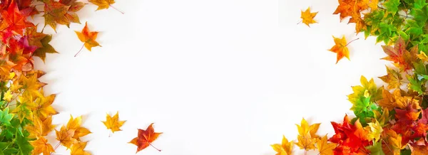 Autumn long background with red, yellow, orange maple leaves — Stock Photo, Image