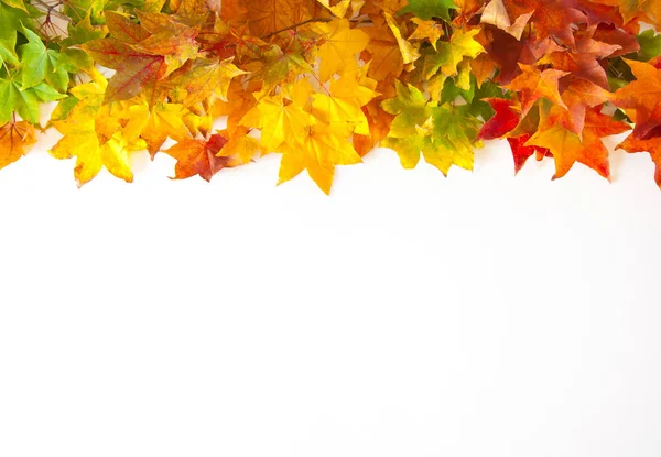 Fondo otoñal con hojas de arce rojo, amarillo y naranja — Foto de Stock