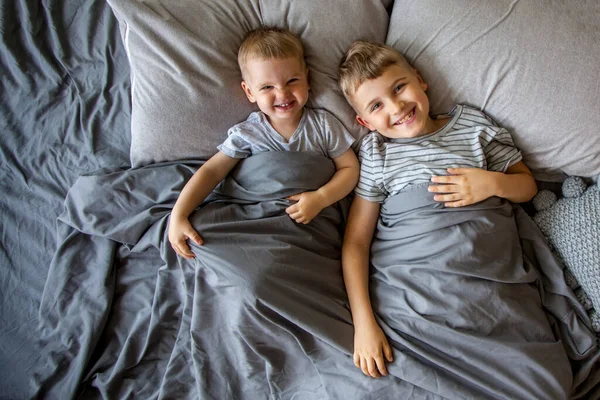 Dwóch Małych Chłopców Brązowymi Włosami Leży Dużym Łóżku Śmiej Się — Zdjęcie stockowe