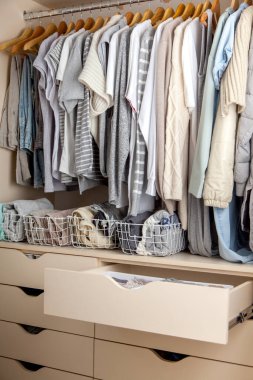 Elbiseleri mavi renkte ve güneş gözlükleriyle donatılmış bir gardırop. Evdeki organizatörler ve temizlik kavramı