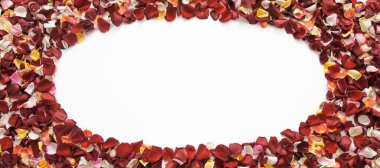 Beyaz arkaplanlı ve kopyalama alanı olan taze gül yapraklarından oluşan oval şekil çerçeve. Romantik duvar kağıdı. Düğün kutlaması. Tebrik kartı kavramı.