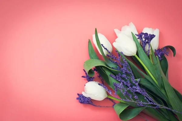 pembe bir arka plan üzerinde beyaz lale buketi, metin için kopya alanı ile