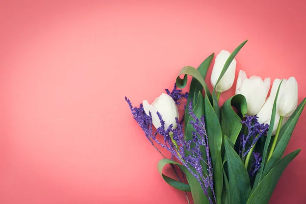 pembe bir arka plan üzerinde beyaz lale buketi, metin için kopya alanı ile