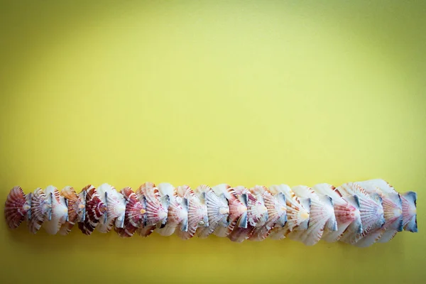  metin için boşluk ile sarı bir arka plan, çerçeve, deniz kabukları