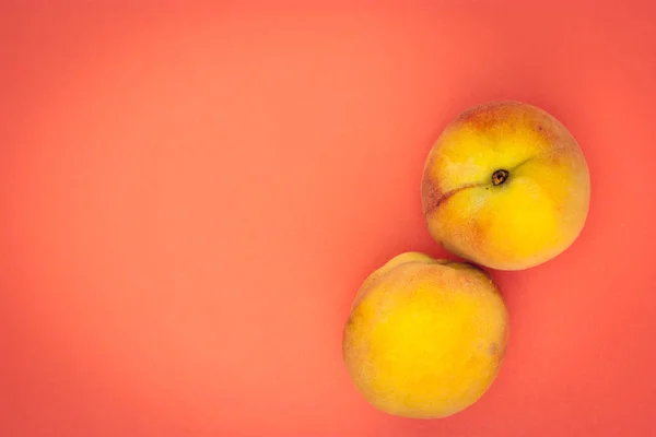 Turuncu bir arka plan üzerinde iki olgun şeftali. metin için boş alan.