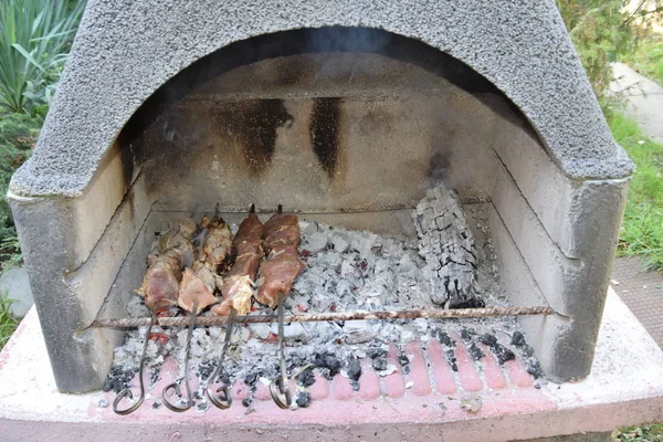 Shish Kebab Fried Coals — Stock Photo, Image
