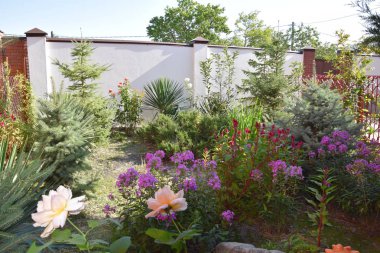 Bahçede yeşil alan