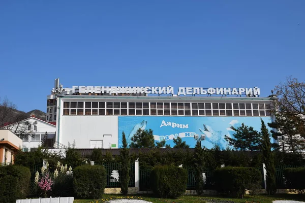 Gelendzhik şehrinde Dolphinarium