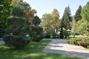 Şehir parkında peyzaj tasarımı