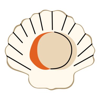 Beyaz arkaplanda 2 sevimli deniz tarağı, vektör illüstrasyonu.