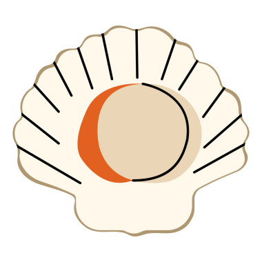 Beyaz arkaplanda 2 sevimli deniz tarağı, vektör illüstrasyonu.