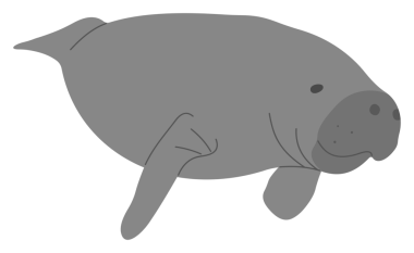 Manatee Single 20 cute, PNG illustration.