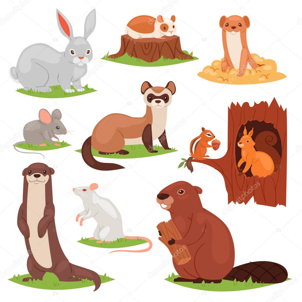 Forest animals vector cartoon animalistic characters squirrel in hollow and wild beaver or bunny hare in woodland illustration set of gnawers mouse or rat isolated on white background