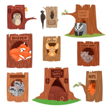 Animals in hollow vector animalistic character in tree hollowed hole illustration set of birds owl or bird on treetops and squirrel bear or fox in hollowtree isolated on white background clipart