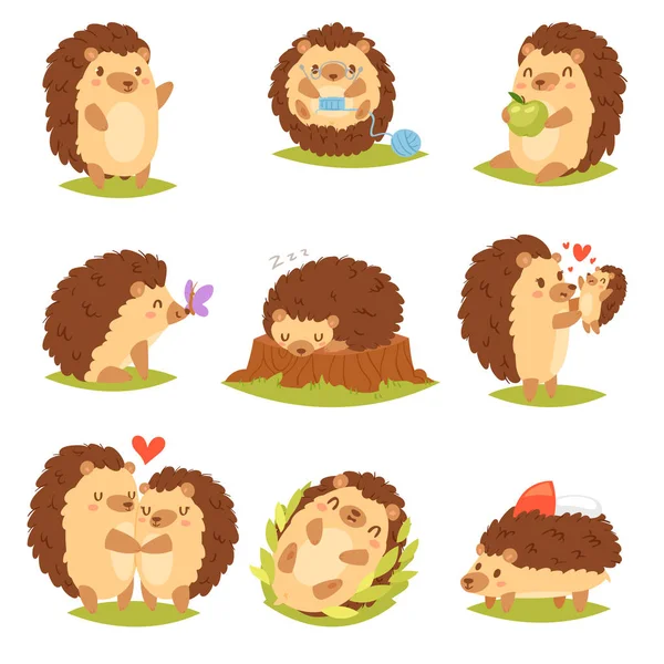 Hedgehog vector dibujos animados espinoso personaje animal niño con corazón de amor en la naturaleza fauna ilustración conjunto de erizo-tenrec dormir o jugar en el bosque aislado sobre fondo blanco — Vector de stock