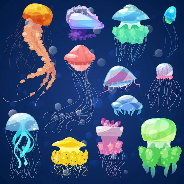 Медузы векторные океан медузы и подводные крапивы-рыбы иллюстрации набор медузы, как светящиеся медузы или рыбы в море изолированы на заднем плане — стоковый вектор