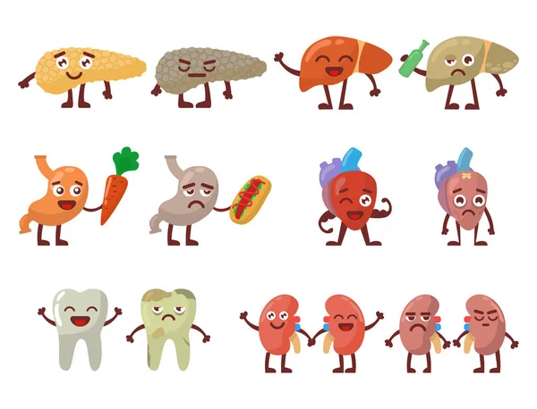 Vector de pares de personajes de dibujos animados divertidos anatómicos sanos y malsanos órganos humanos . — Vector de stock