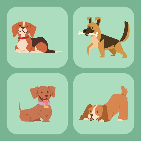 Afspelen van schattige puppy honden tekens grappige rasechte komische gelukkig zoogdier hondje RAS vectorillustratie. — Stockvector