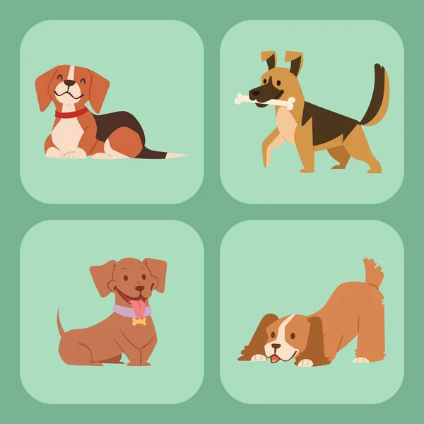 Puppy cute playing dogs characters funny purebred comic happy mammal doggy breed vector illustration. — Stock Vector