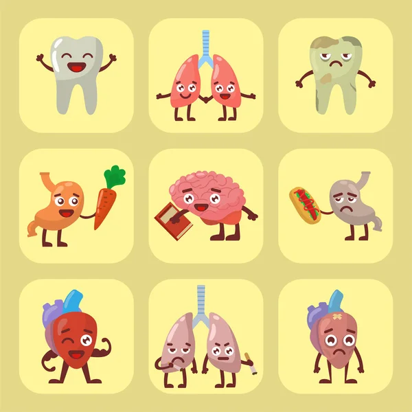 Vector de pares de personajes de dibujos animados divertidos anatómicos sanos y malsanos órganos humanos . — Vector de stock