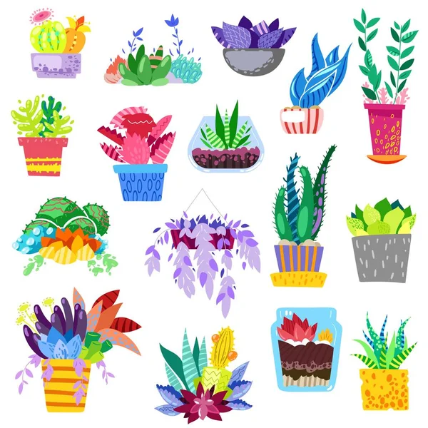 Piante in vasi da fiori vettore vaso colorato piante d'appartamento fiorite per la decorazione d'interni con collezione botanica cactus floreali in vasi e fiori a colori illustrazione isolata su sfondo bianco — Vettoriale Stock