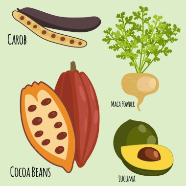 Vejetaryen superfood sağlıklı sebze Eko gıda taze organik geleneksel gurme beslenme vektör çizim.