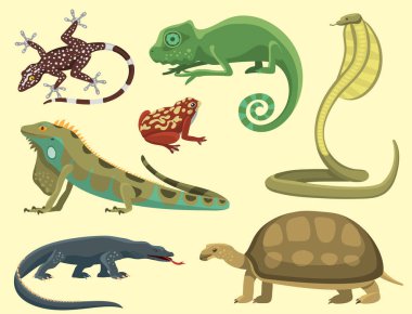 Sürüngen ve amfibi renkli fauna illüstrasyon reptiloid yırtıcı hayvan sürüngen hayvanlar vektör.