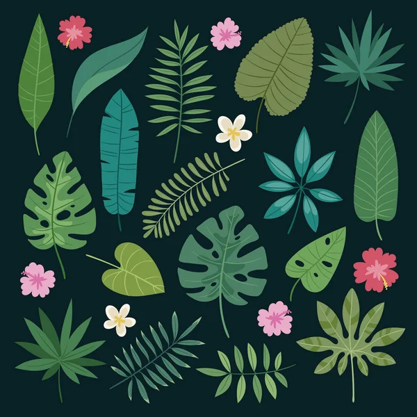 Folhas de vetor tropical verão verde selva exótica folha de palma trópica natureza planta botânica hawaii flora ilustração . —  Vetores de Stock
