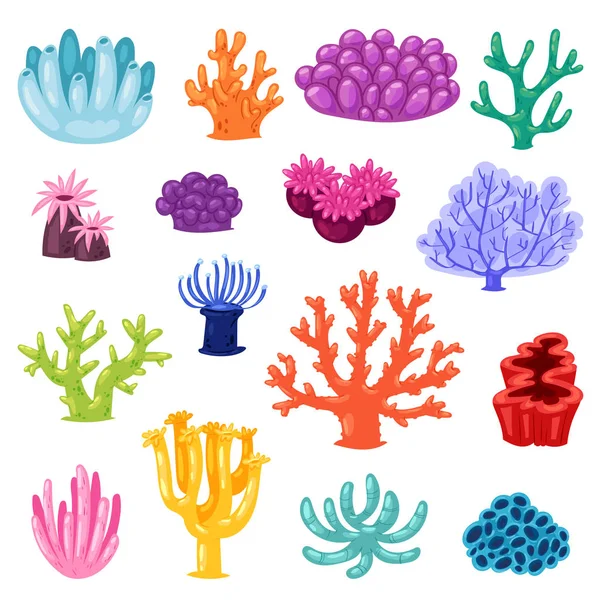 Coral vektor havet korallröd eller exotiska cooralreef undersea illustration coralloidal uppsättning av naturliga marina faunan i ocean reef isolerad på vit bakgrund — Stock vektor