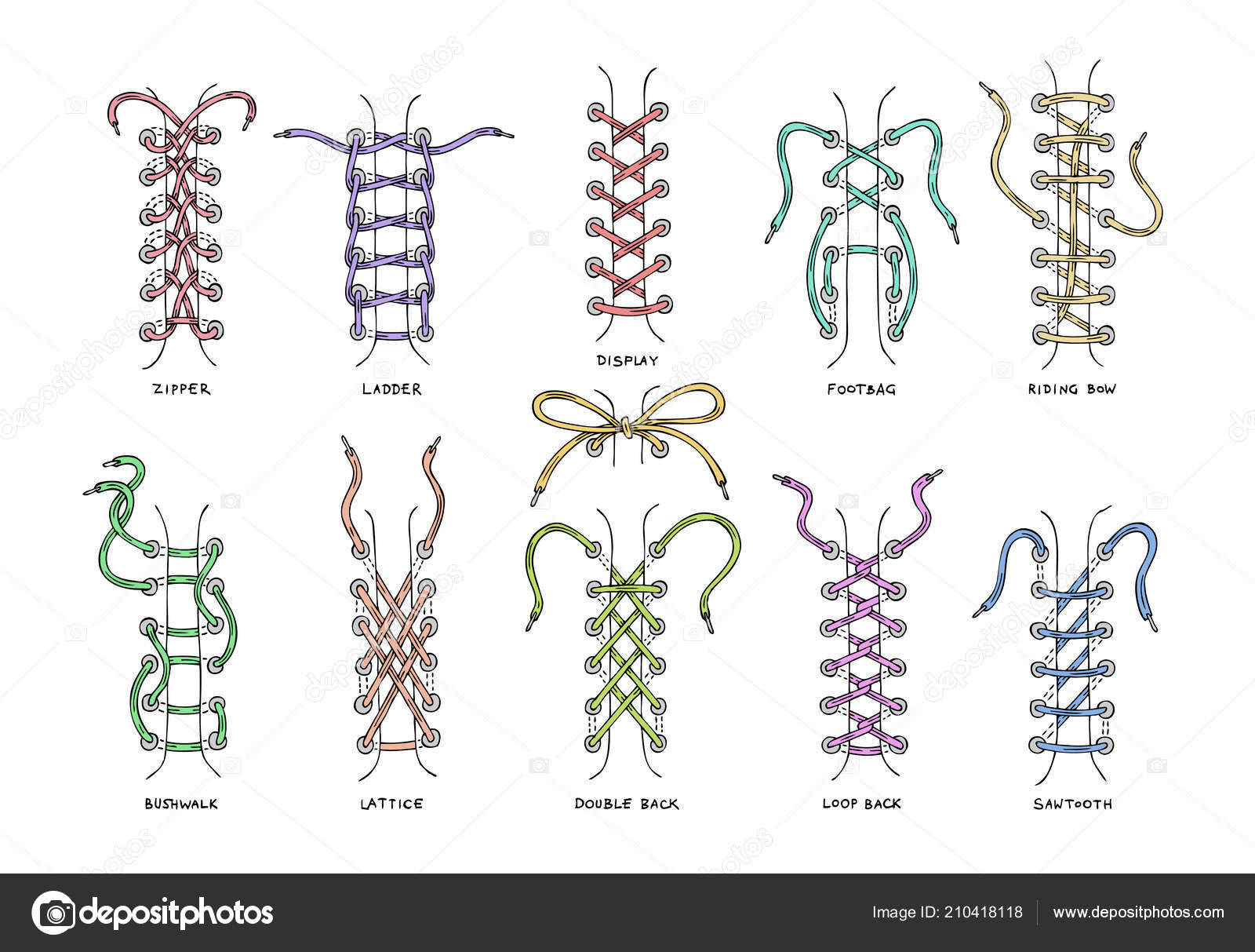 Shoelaces vector shoestring or shoe laces and fashion accessory