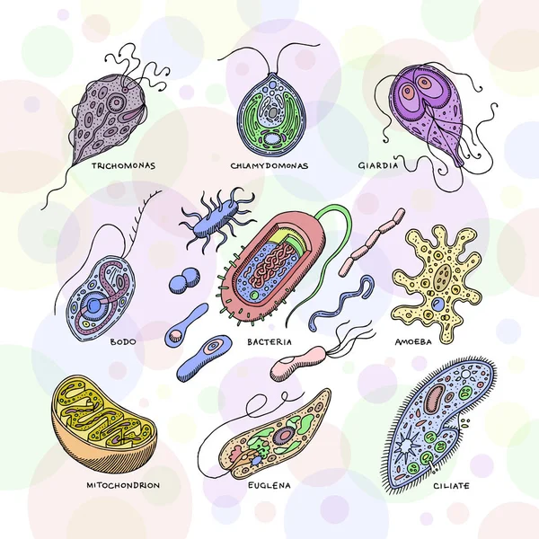 Virus Vector Bacterial Infection Virus Illness Illustration Virulent Bacterium Set — Stock Vector