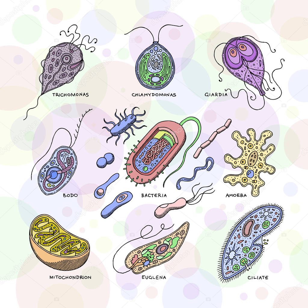 Virus vector bacterial infection virus-like illness illustration virulent bacterium set of microbiology organisms microbe or unicellular bacteria isolated on white background.