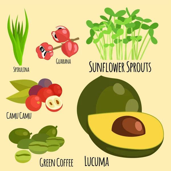 Vegetariánské superfood zdravé zeleninové eko potraviny čerstvé organické tradiční gurmánskou výživa vektorové ilustrace. — Stockový vektor