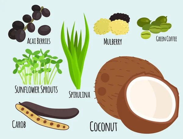 Χορτοφαγική Superfood Υγιή Φυτικά Eco Φρέσκο Βιολογικό Παραδοσιακό Γκουρμέ Τροφίμων — Διανυσματικό Αρχείο