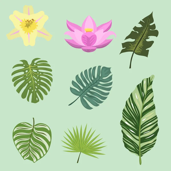 Feuilles tropicales set illustration vectorielle . — Image vectorielle