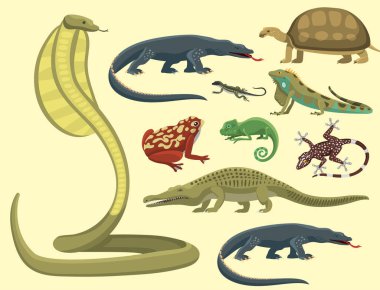 Sürüngen ve amfibi renkli fauna illüstrasyon reptiloid yırtıcı hayvan sürüngen hayvanlar vektör. Afrika egzotik karikatür omurgalı tropikal iguana ayarla.